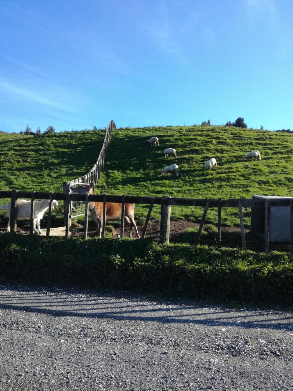 Junohall Backpackers Waitomo Caves Exterior photo